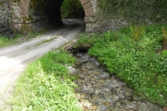 22. Flowing through Comberow