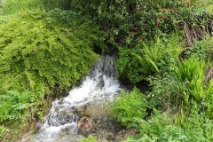 27. Flowing through Comberow