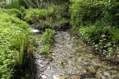 32. Headwaters join