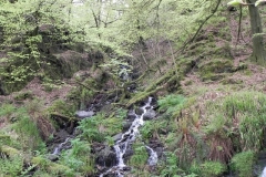 9. Flowing down the incline