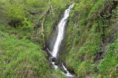 18. Forehill Wood waterfall