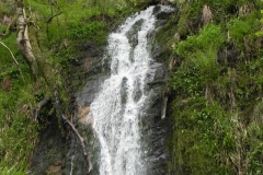 20. Forehill Wood waterfall