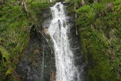 21. Forehill Wood waterfall