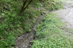 26. Downstream from Forehill Wood waterfall