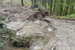 29. Downstream from Forehill Wood waterfall