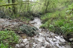 31. Downstream from Forehill Wood waterfall