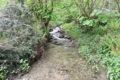 33. Downstream from Forehill Wood waterfall