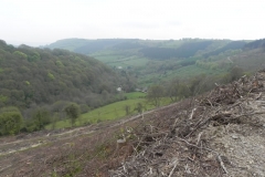 34a. Looking doen to Comberow from Forehill Wood