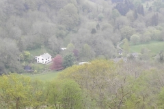 35. Looking doen to Comberow from Forehill Wood