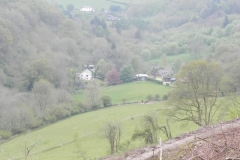 36. Looking doen to Comberow from Forehill Wood