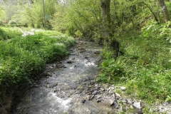 L. Traphole Stream :: C. Comberow to Pitt Mill 