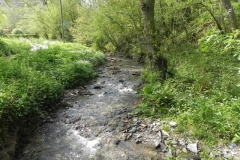 1. Downstream from Comberow