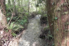 10. Downstream from Comberow