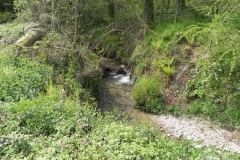 11. Downstream from Comberow