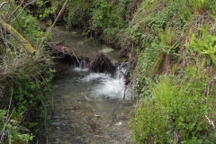12. Downstream from Comberow