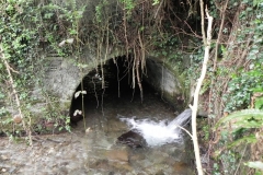 13. Pit Wood culvert inlet