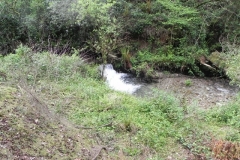 14. Pit Wood culvert outlet