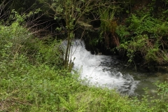 15. Pit Wood culvert outlet