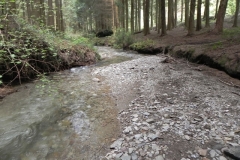 18. Flowing through Pit Wood