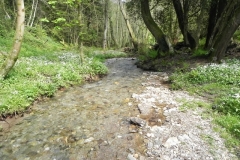 2. Downstream from Comberow