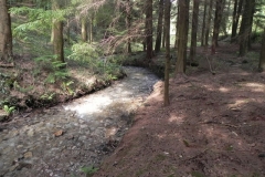 20. Flowing through Pit Wood