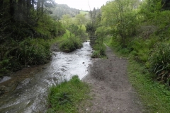 26. Flowing through Pit Wood