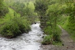 27. Flowing through Pit Wood