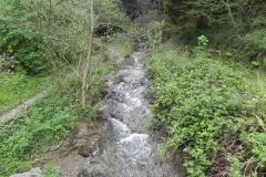 29. Looking upstream from ROW Footbridge 2816