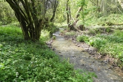 3. Downstream from Comberow