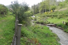 31. Upstream from Pitt Cottage