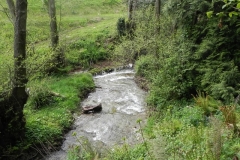 35. Downstream from Pitt Cottage