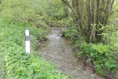 37. Downstream from Pitt Cottage
