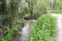 38. Upstream from Pitt Mill weir