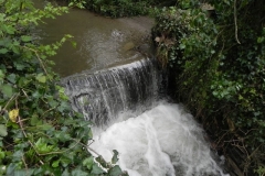 39. Pitt Mill Weir