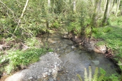4. Downstream from Comberow