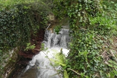 40. Pitt Mill Weir