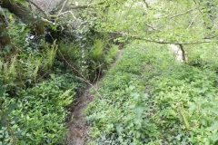 42. Pitt Mill leat