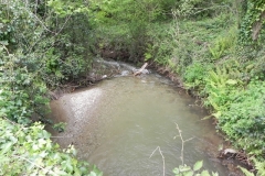 43. Looking downstream from Pit Lane bridge