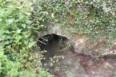 43. Pit Lane bridge upstream arch