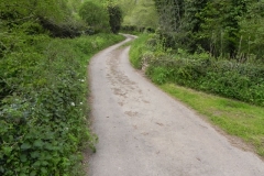 44. Pit Lane bridge
