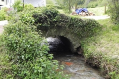 46. Pitt Mill bridge upstream arch