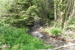 5. Downstream from Comberow