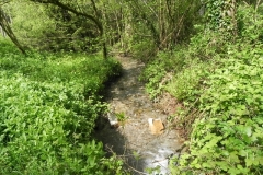 7. Downstream from Comberow