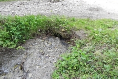 8. Flowing beneath Pit Lane