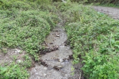 9. Downstream from Comberow