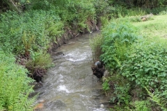 1. Downstream from Pitt Mill