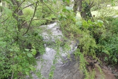 11. Looking upstream from Cameron Cottage bridge