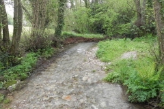 13. Looking downstream from Cameron Cottage bridge