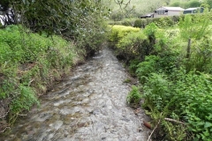 14. Downstream from Cameron Cottage bridge