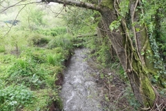 17. Looking downstream from ROW footbridge 2904